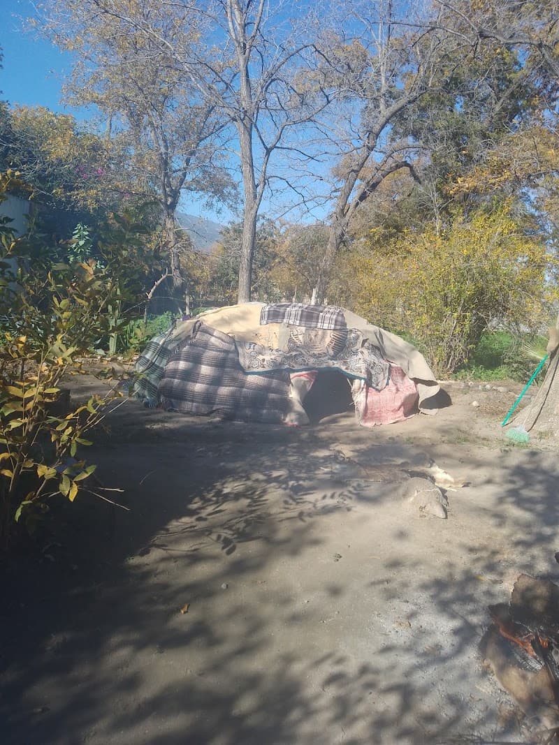 Temazcal Tacubaya Parras de la Fuente photo