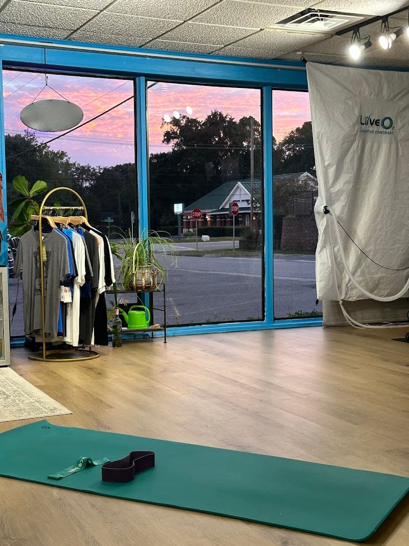 Temple Massage + Wellness Studio Pensacola photo