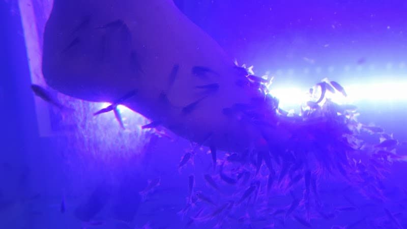 TenaRovinj Manicure, Pedicure And Fishpedicure photo