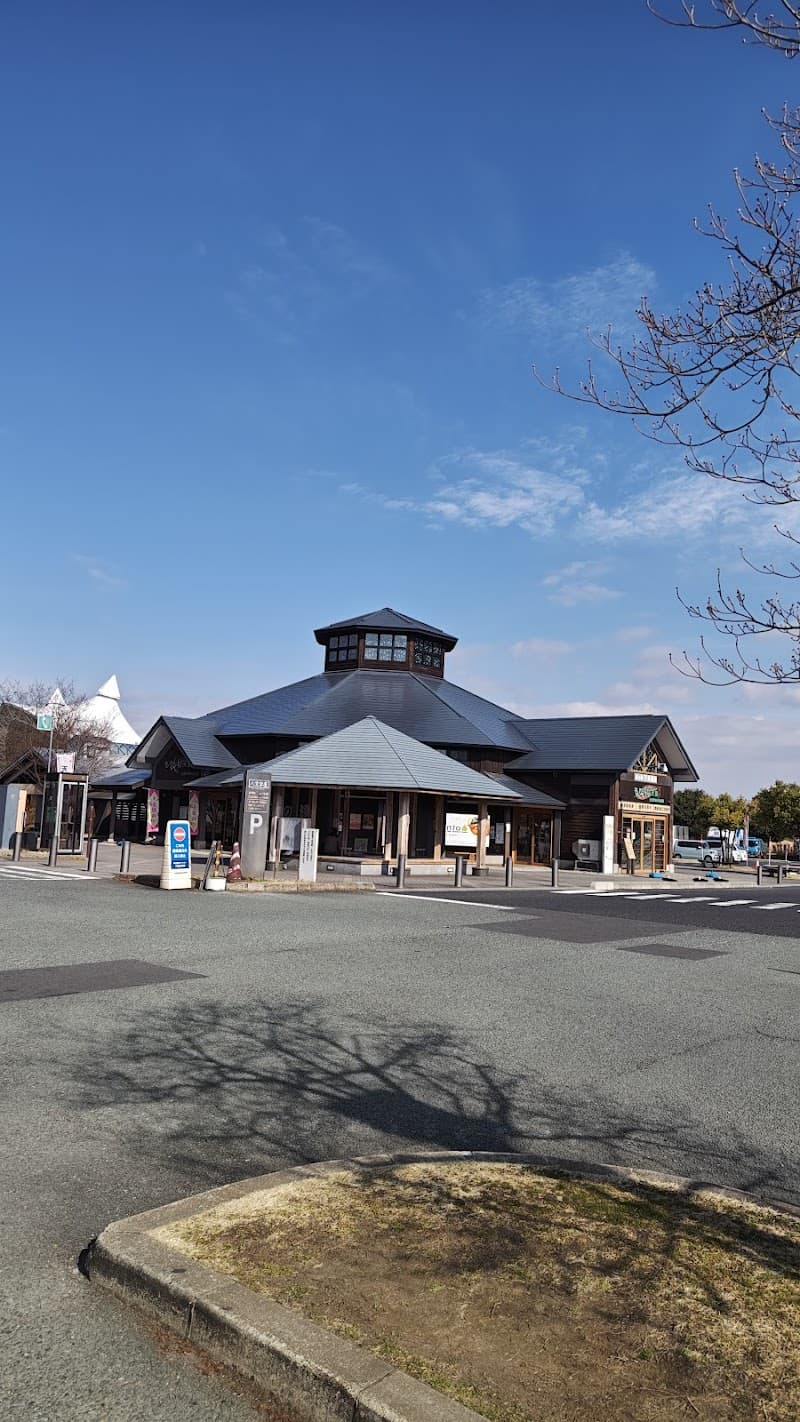 Tendo Onsen Chiyoda City photo