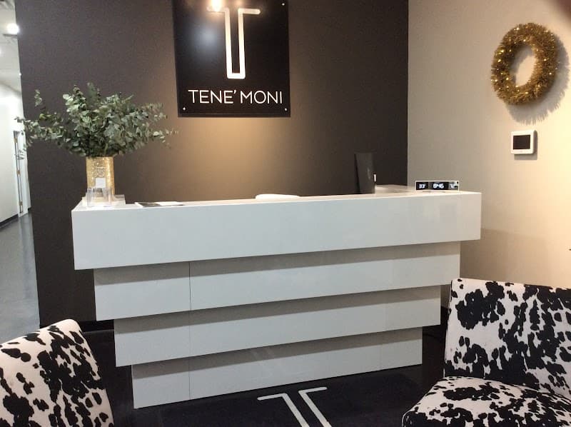 Tene' Moni Rejuvenation Spa Schererville photo