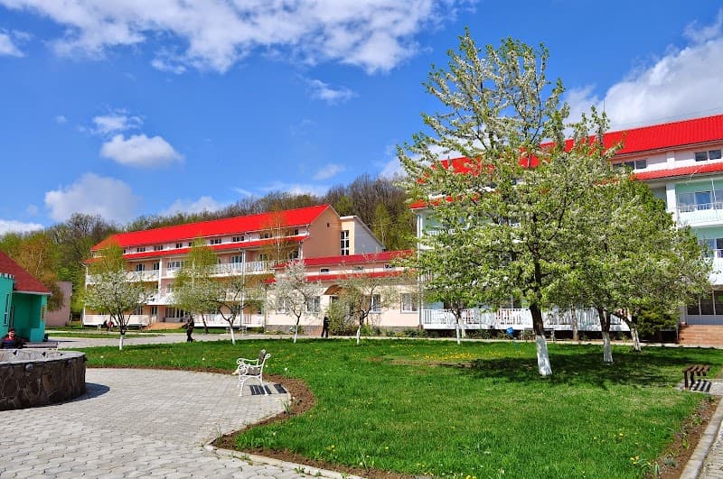 Teplytsia Sanatorium Vynohradovo Zakarpattia Vynohradivskyi Raion photo