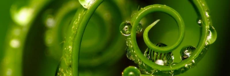 Terapia Manuale Per il Benessere delle Donne Locarno photo