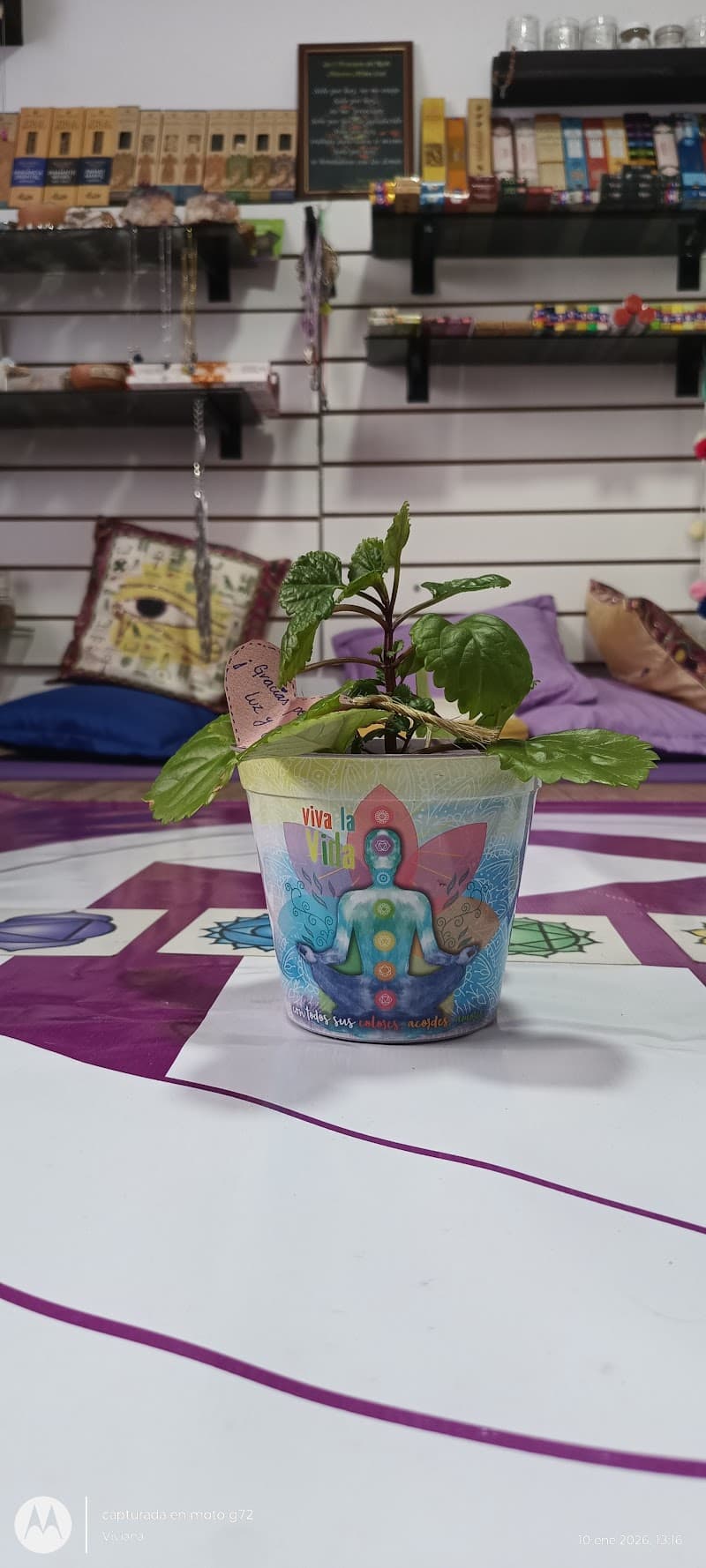 Terapias AJNA Escobar Belén de Escobar photo