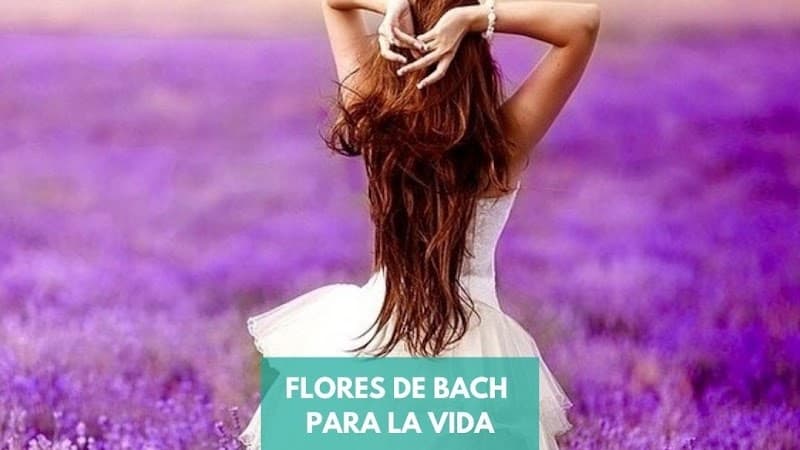 Terapias Holisticas Montevideo photo