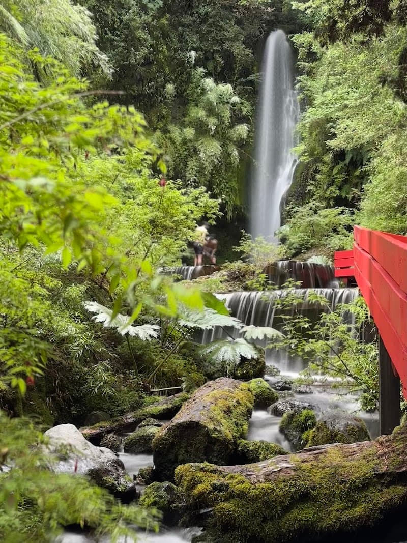 Termas del volcan Villarrica photo