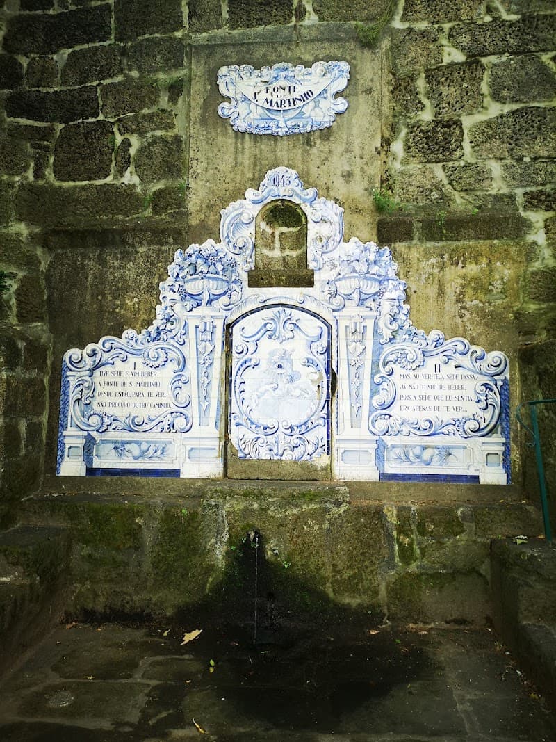 Termas São Pedro do Sul photo