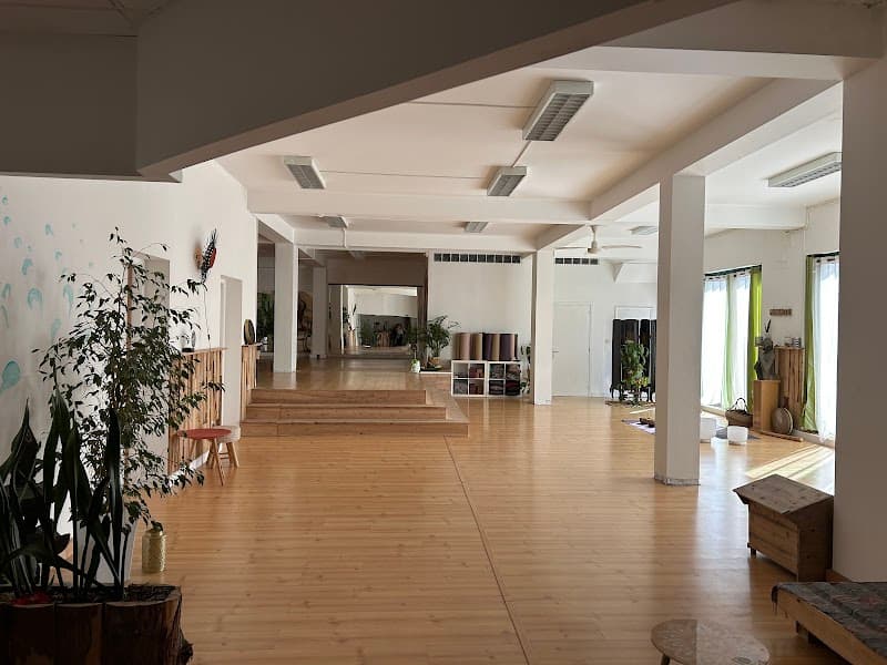 Terra e Mar - Zen Space Ribeira Grande photo