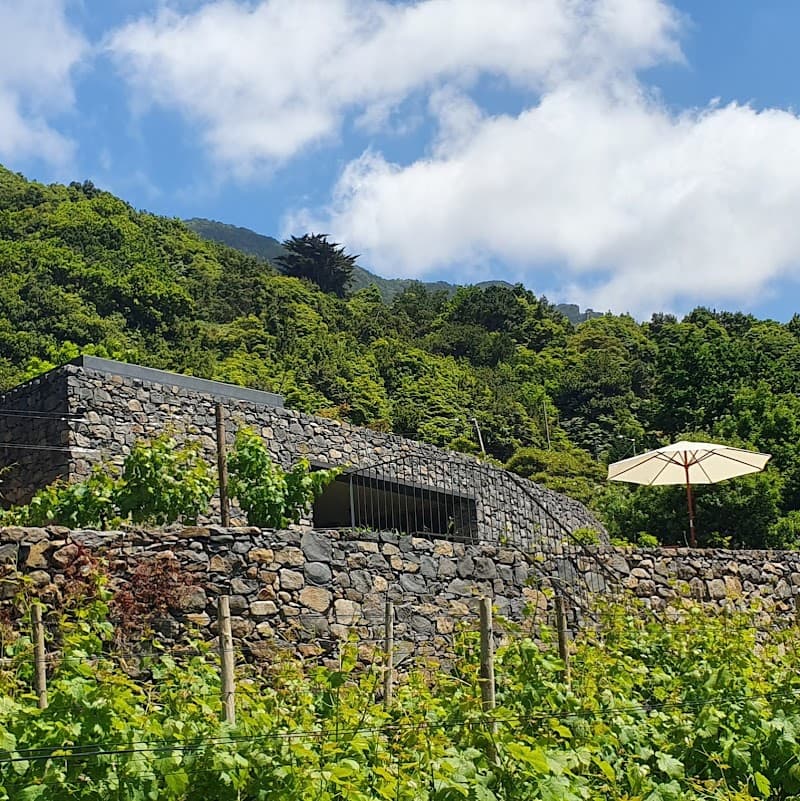 Terrabona Nature & Vineyards - Wine Country & Wellness Retreat Madeira photo