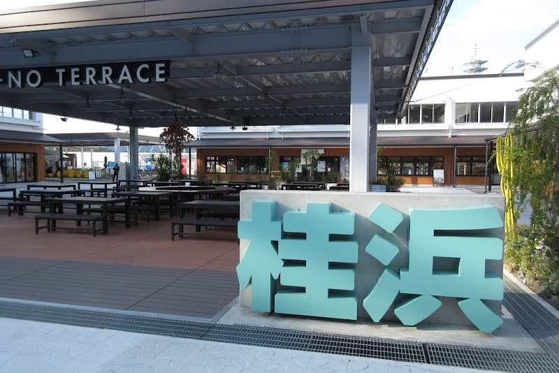 Kochi City terrace photo