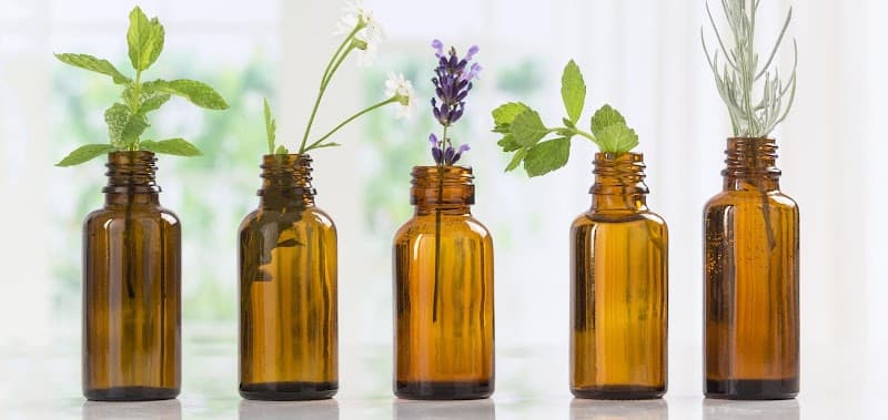 Terranature Le Mayet-de-Montagne photo