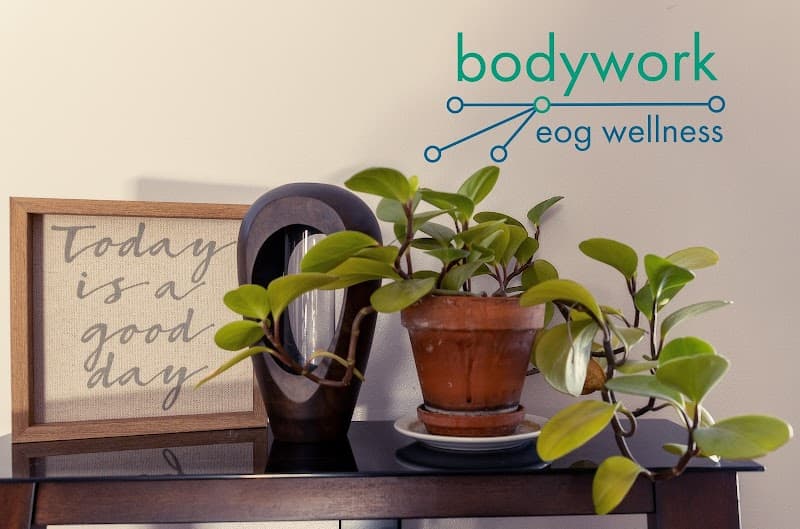 Thai Bodywork with Nancy Rockford photo
