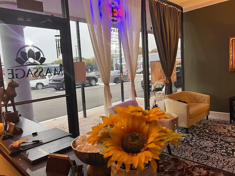 Thai Luxe Spa massage at Winrock -westheimer road Houston photo