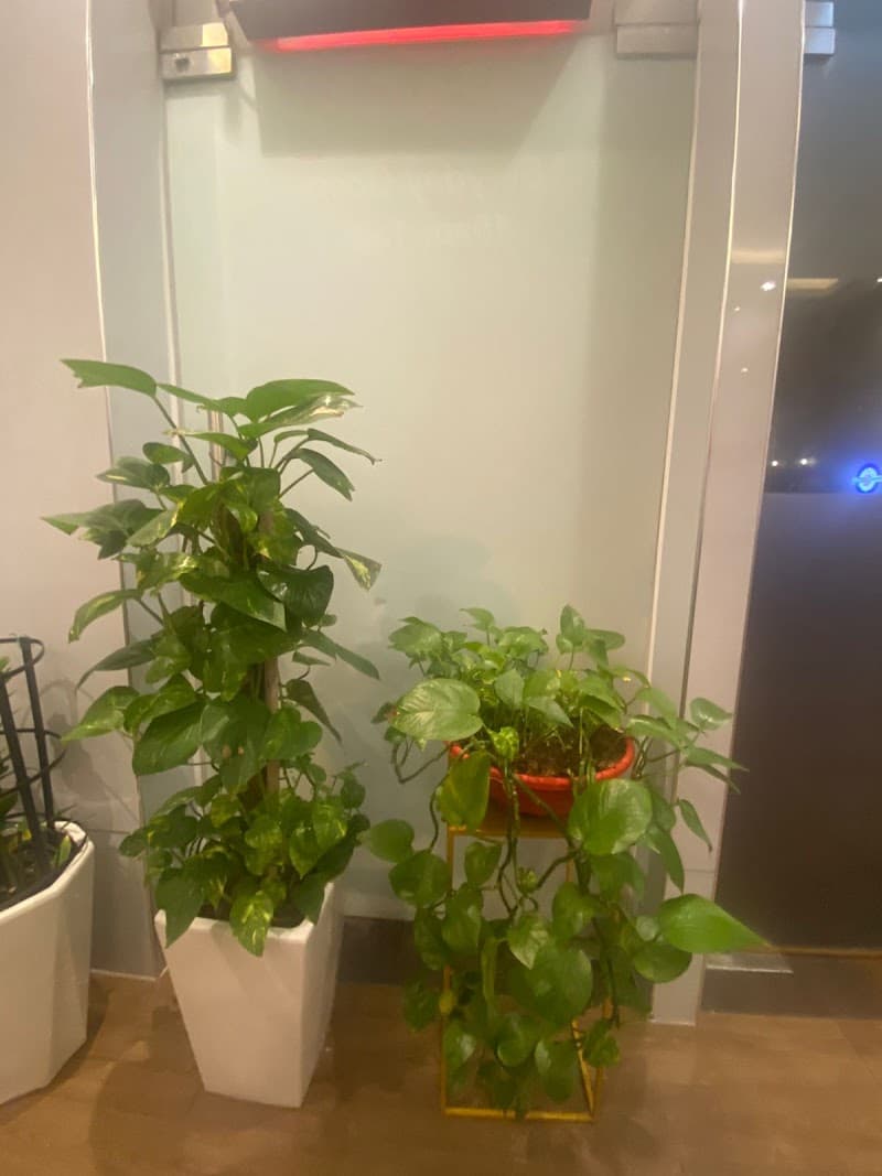 Thai Traditional Massage Ras Al Khaimah photo