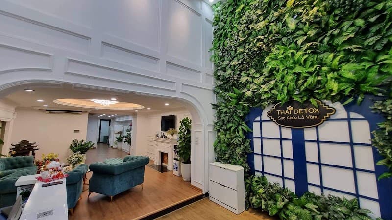 Thaidetox - Thanh lọc, thải độc cơ thể theo phương pháp Thái Lan Quận Hai Bà Trưng photo