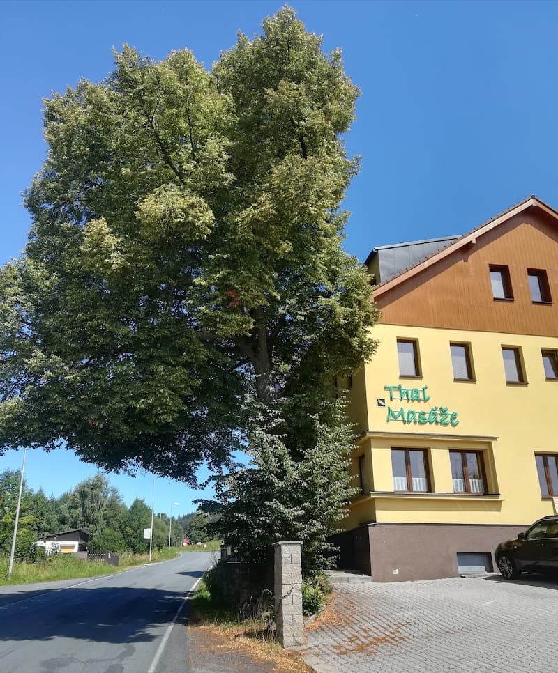 Thajské masáže Jezerka Železná Ruda photo