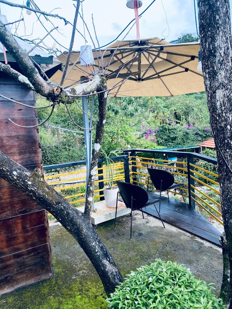 Thanh Xuân Gửi Lại Quận Đống Đa photo