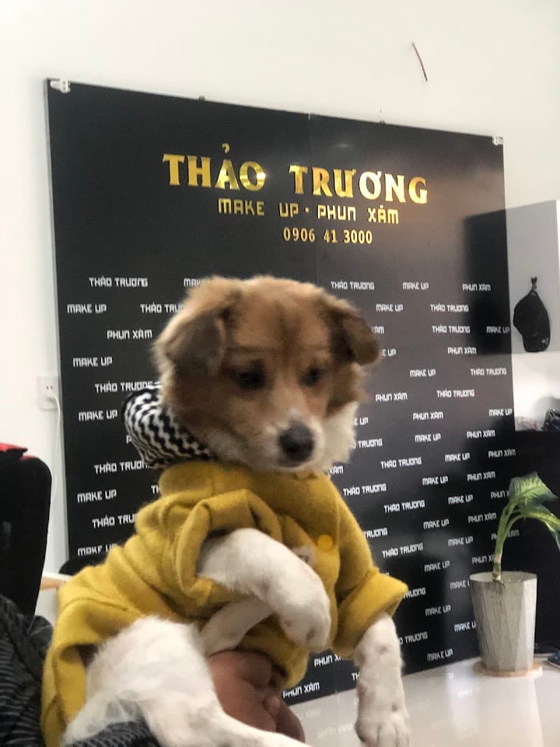 Thảo Trương Studio Buôn Ma Thuột photo