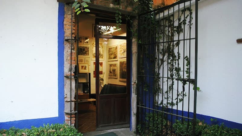 The Art of Transformation Tlalpan photo