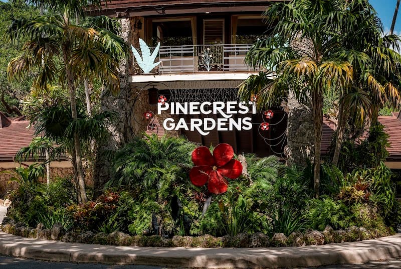 Pinecrest the banyan photo