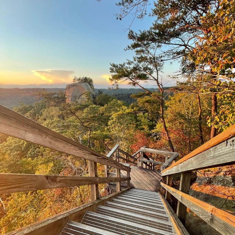The Beehive Health and Wellness Spa Forest photo