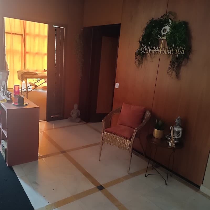 The body and soul spa Sarvodayapuram photo