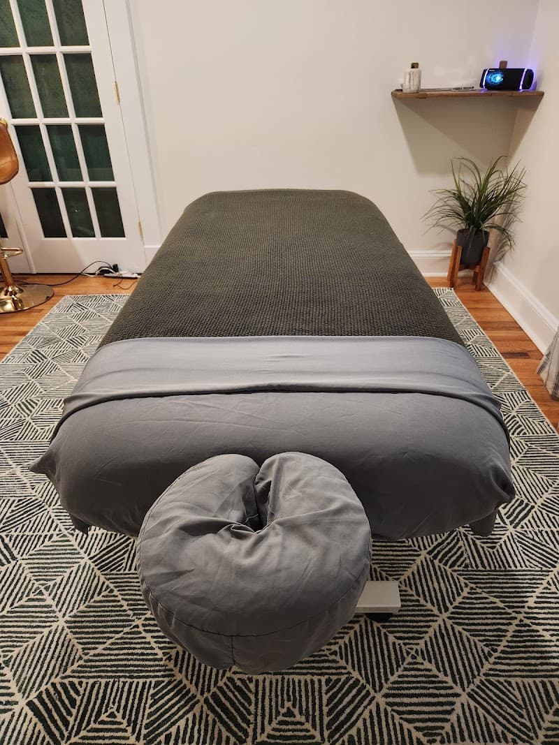 The Body Lab Massage Frederick photo