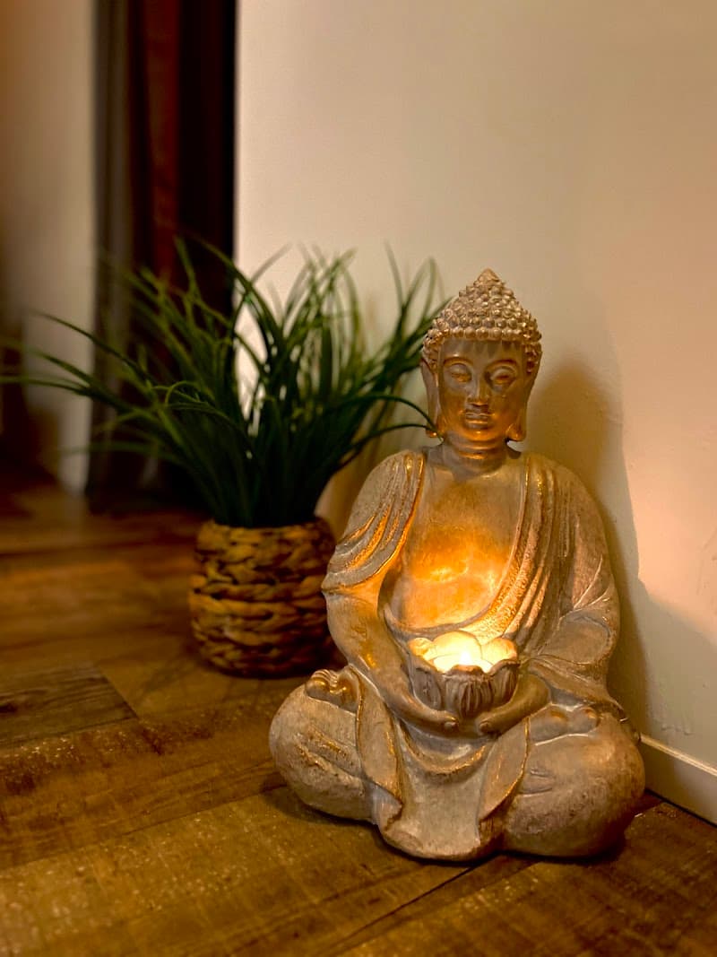 The Botanical Massage & therapies Lisbon photo