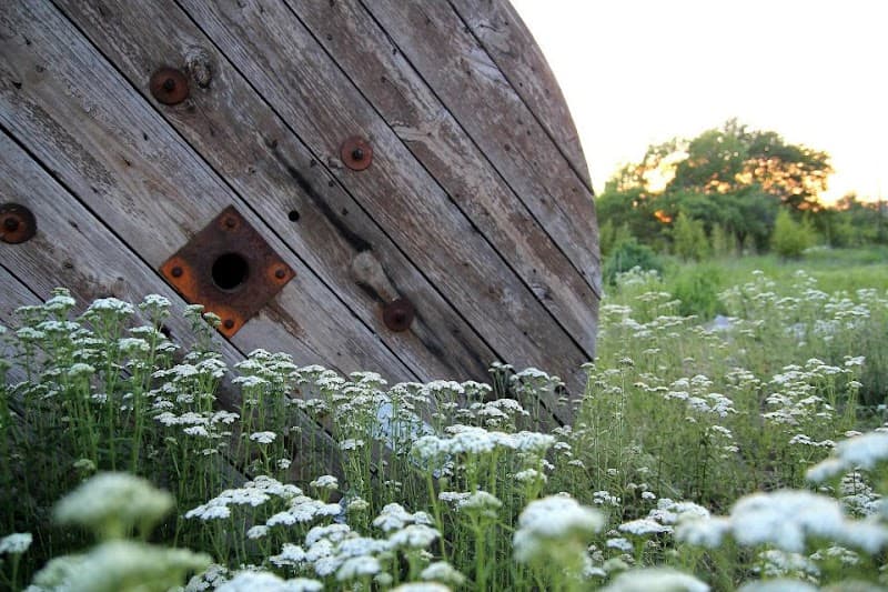 The Garden of Eden HSN Dallas photo