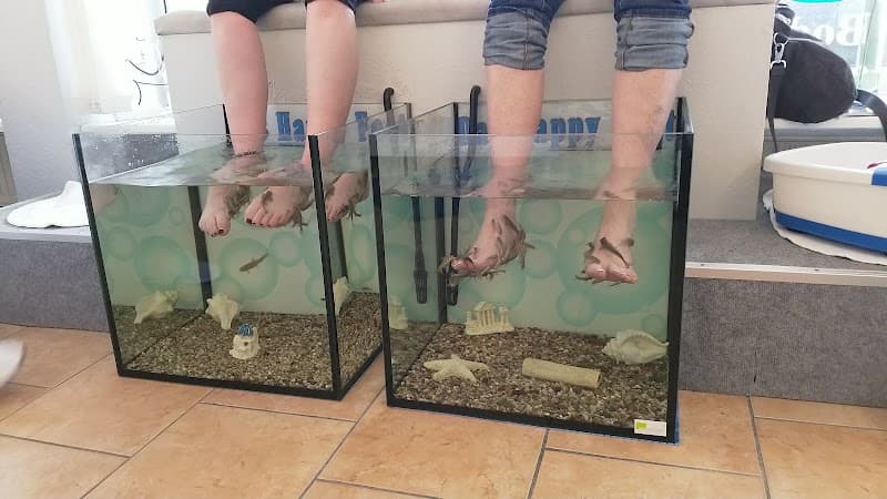 The Happy Feet Sankt Peter-Ording photo