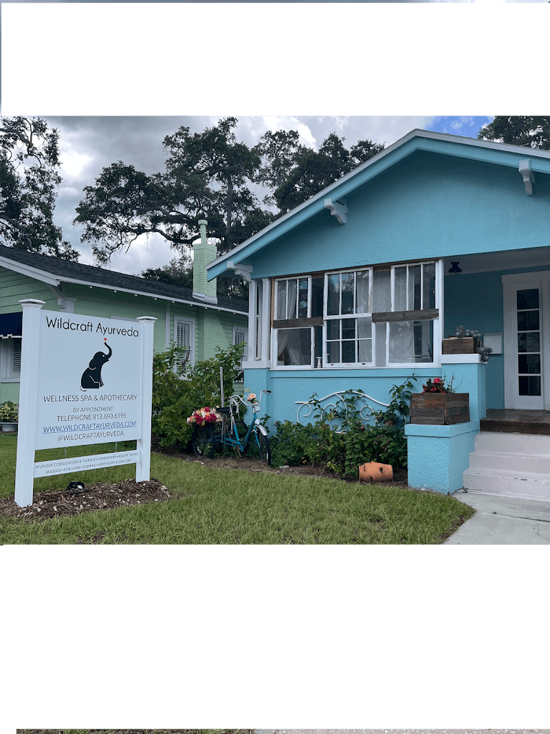 The Holistic Chic now located inside Wildcraft Ayurveda ,Ayurvedic Spa, Apothecary & Treatment Center Oldsmar photo