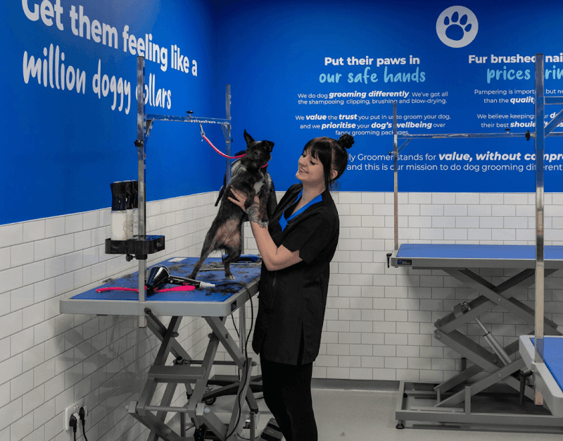 The Jolly Groomer Stevenage photo