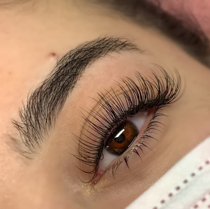 The Lash & Wax Studio Pearland photo