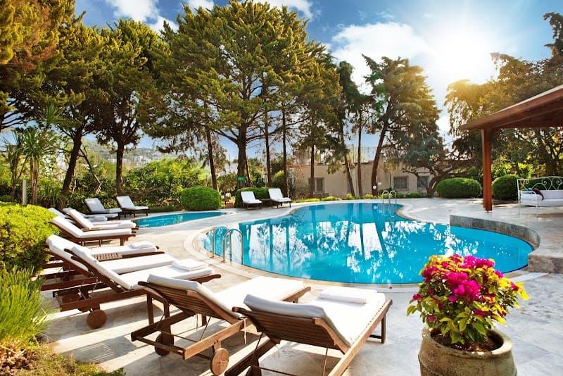 The LifeCo Bodrum photo