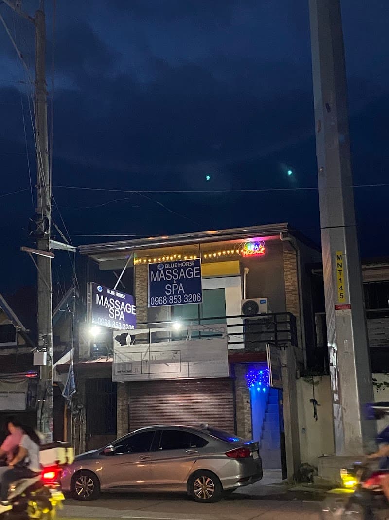 The Light Spa Naic photo