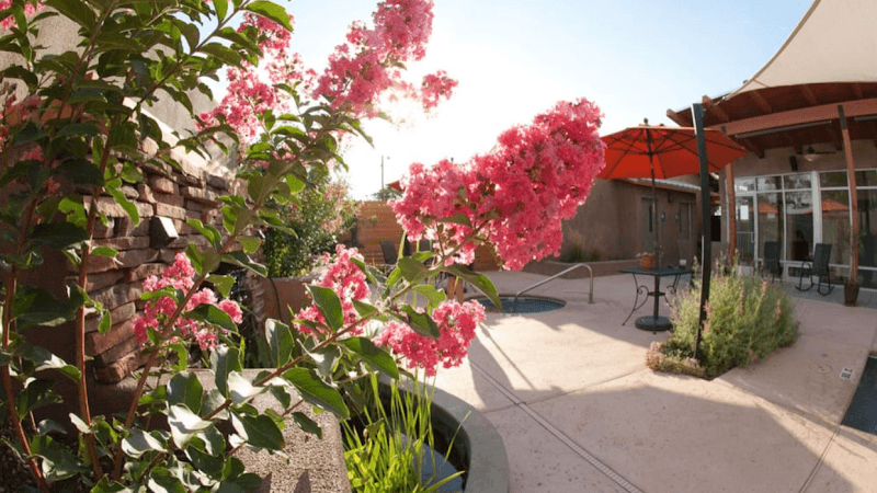 The Livingroom Spa Albuquerque photo