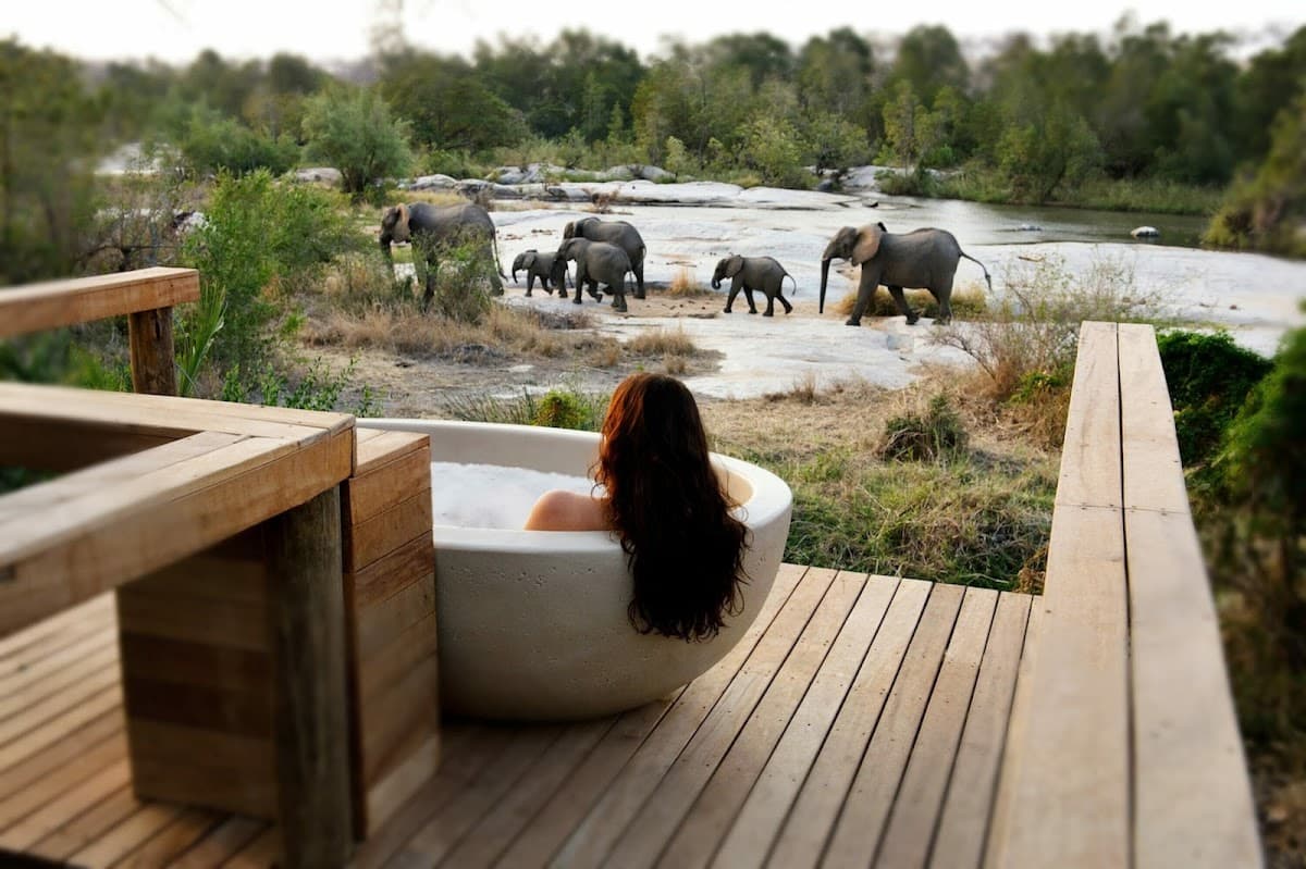 The Londolozi Healing House Kruger photo