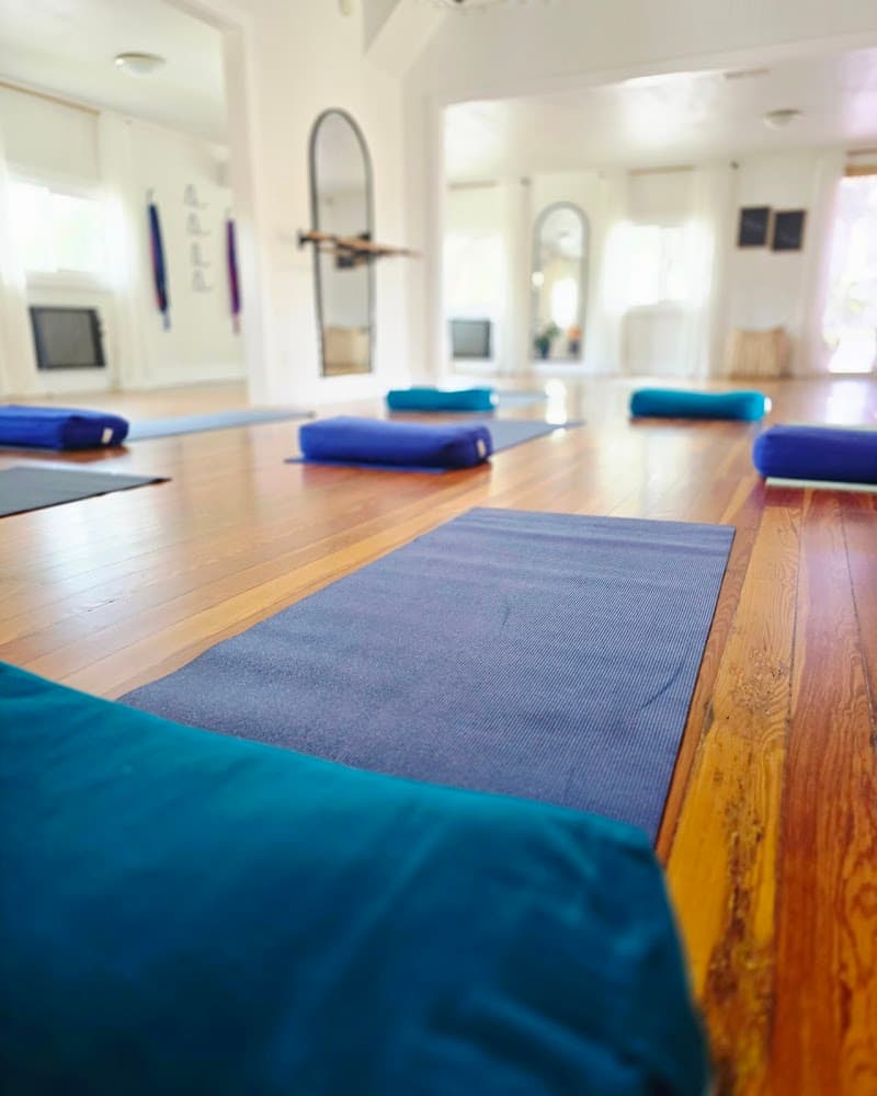 The Lotus Studio New Port Richey photo