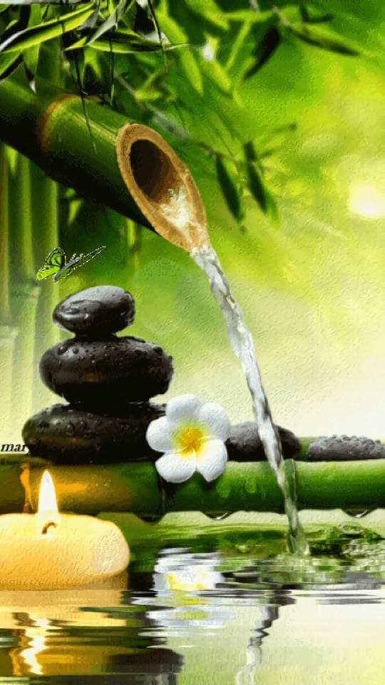 The Massage Office Chattanooga photo