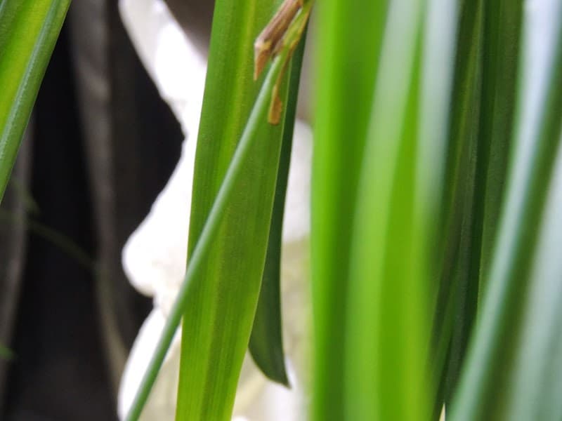 The Modern Body Massage & Spa Calgary photo