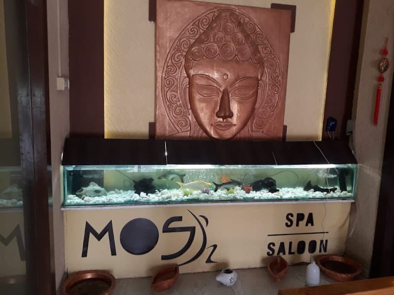 The MOS Spa & Salon Bhopal photo