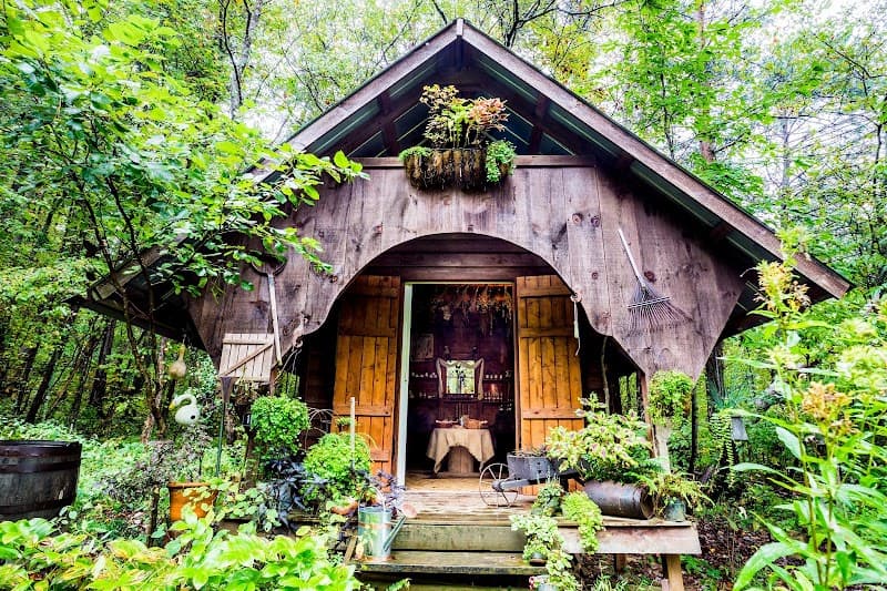 The Natural Homestead Blairsville photo