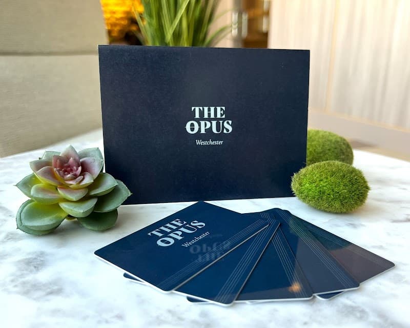 The Opus Spa White Plains photo