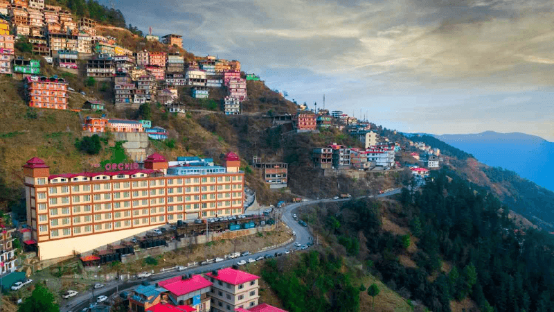 The Orchid Hotel Shimla photo