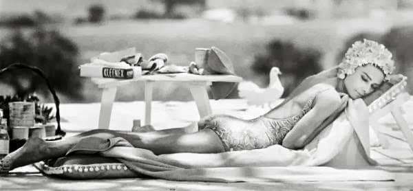 The Painted Lady Tanning & Spa Napa photo