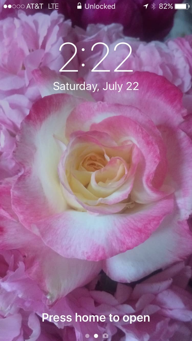 The Pampering Place Day Spa & Gift Boutique Wheat Ridge photo