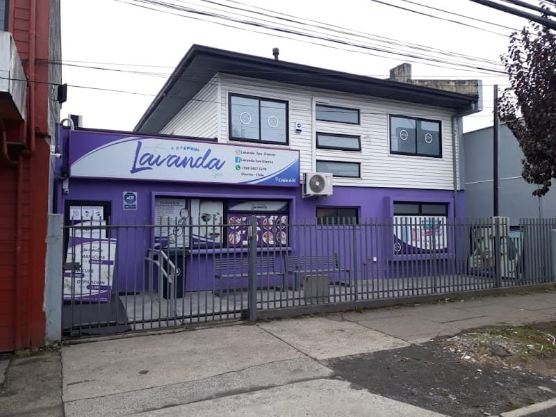 The Pink Spa Osorno photo