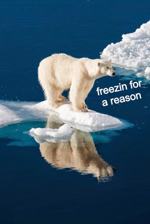 The Polar Club Cryosauna Fort Worth photo