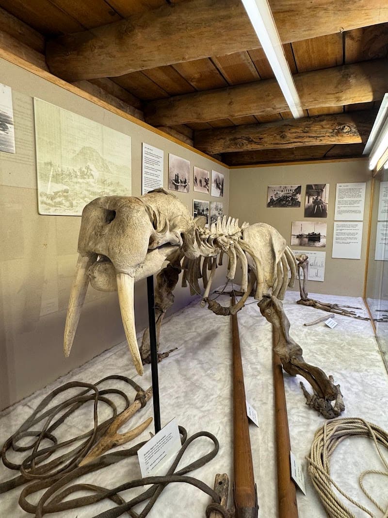 The Polar Museum Tromsø photo