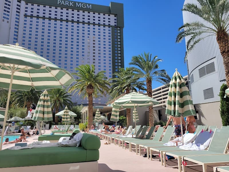 The Pools at Park MGM Las Vegas photo